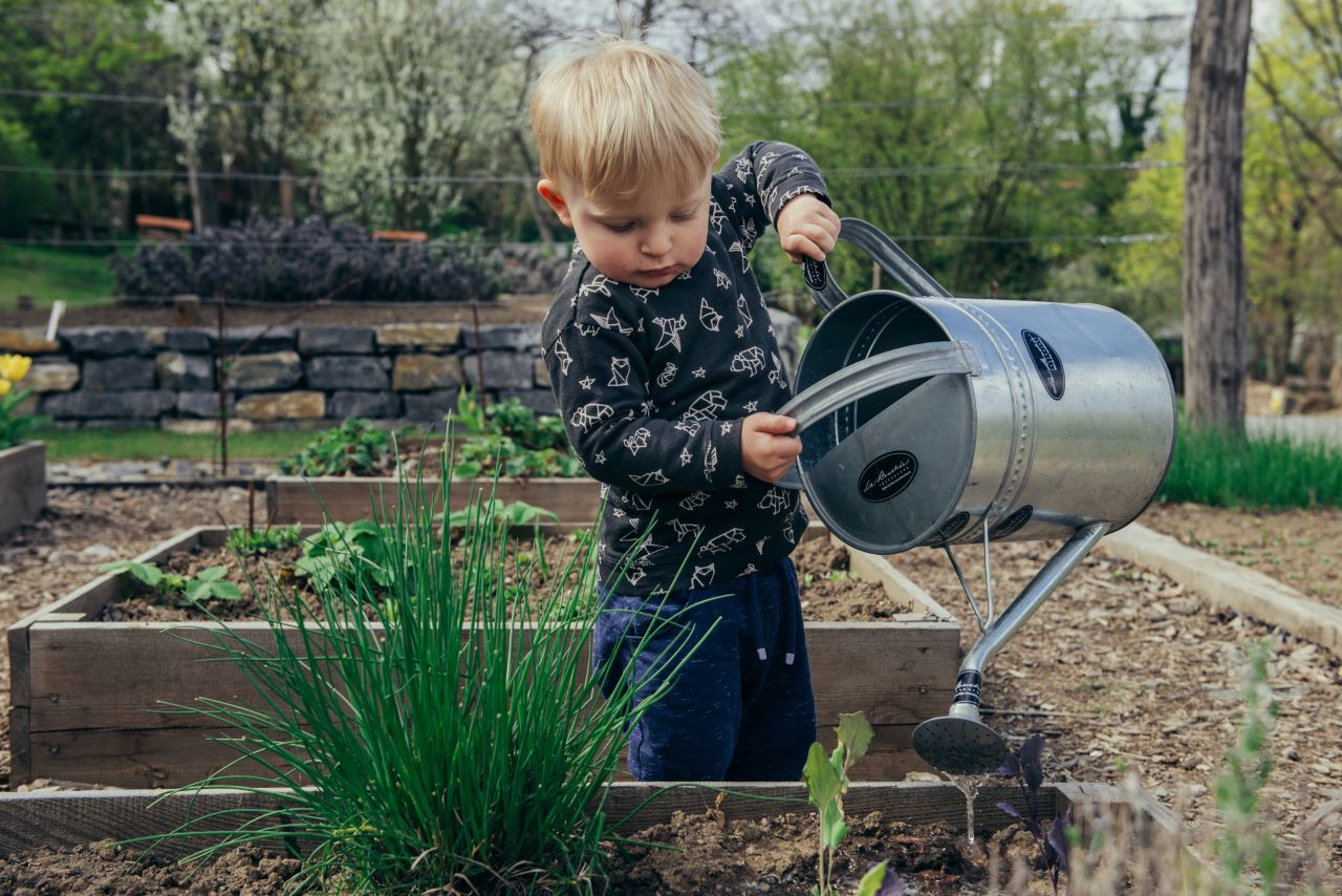 Beginners Gardening post thumbnail