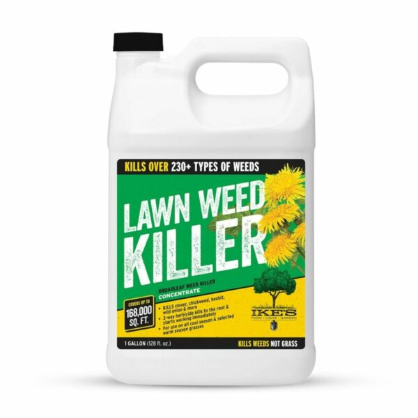Lawn Weed Killer post thumbnail